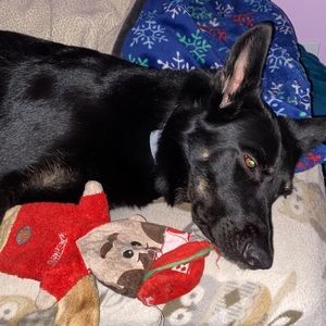 Meet your Posher, Christine